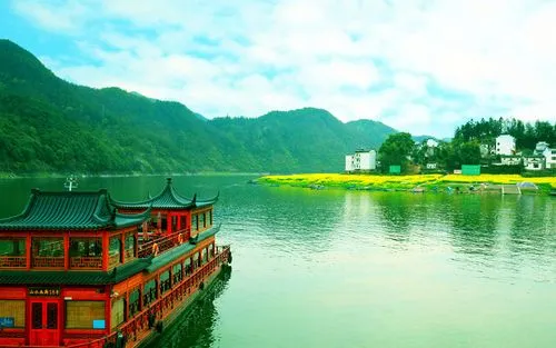 创意稳定性绿色